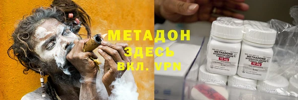 прущие грибы Беломорск