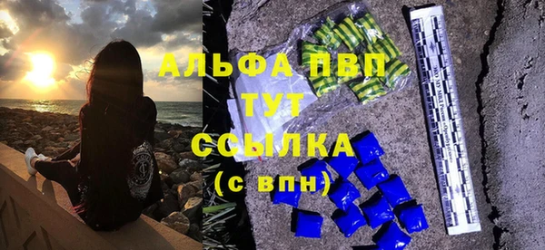 прущие грибы Беломорск