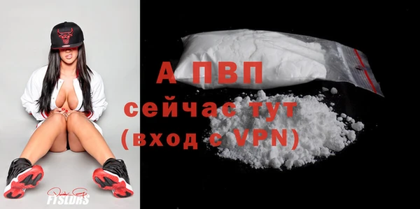 прущие грибы Беломорск