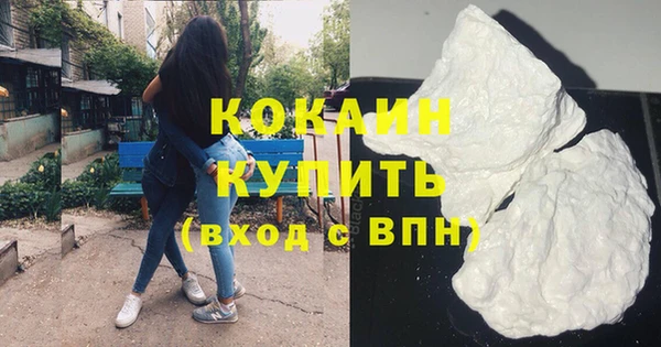 прущие грибы Беломорск