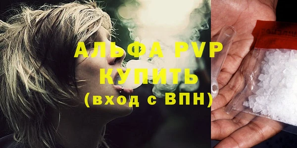 прущие грибы Беломорск