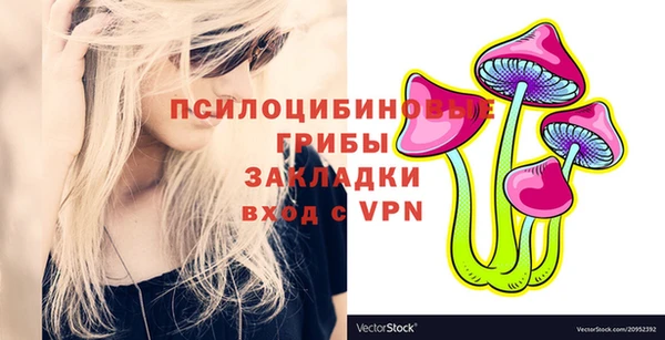 прущие грибы Беломорск