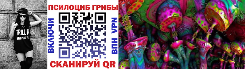 закладки  Борзя  Псилоцибиновые грибы Magic Shrooms 